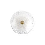 Настенные светильники Loft It 10352W/A AB Bloom