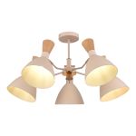 Люстры Evoluce SLE1256-502-05 VISTA