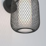 Настенные светильники Eurosvet 4690389211058 Voile