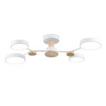 Подвесные светильники Ambrella FL4858 FL