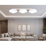 Потолочные светильники Ambrella FL4877 FL