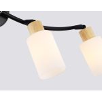 Настенные светильники Ambrella TR8723 TR