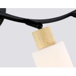 Настенные светильники Ambrella TR8723 TR