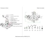 Потолочные светильники Crystal Lux ESMIRALDA PL6 SILVER ESMIRALDA