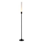 Уличные светильники ST Luce SL9523.405.01 SPIKE