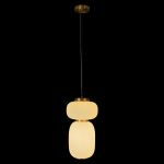 Подвесные светильники Loft It 10422/B Duff