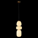 Подвесные светильники Loft It 10422/C Duff