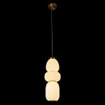 Подвесные светильники Loft It 10422/C Duff