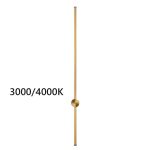 Настенные светильники Odeon Light 4335/18WGP FILLINI