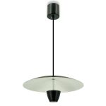 Подвесные светильники Lightera LE128L-40B Pichola