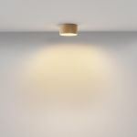Точечные светильники Maytoni C032CL-12W2.7K-RD-MG Zon