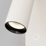 Настенные светильники Maytoni C077WL-L3W3K Twist