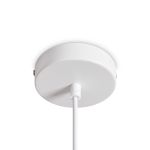Подвесные светильники Freya FR5530PL-L12W Shapes