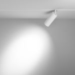 Трековое освещение Maytoni TR032-4-20WTW-M-DD2-W FOCUS LED