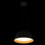 Подвесные светильники Loft It 10224P Black Evans