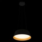 Подвесные светильники Loft It 10224P Black Evans