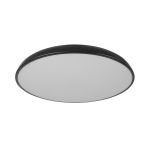 Потолочные светильники Loft It 10371 Black Dime