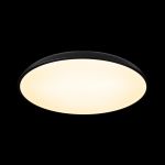 Потолочные светильники Loft It 10371 Black Dime