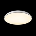 Потолочные светильники Loft It 10371 White Dime