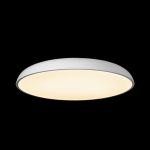 Потолочные светильники Loft It 10371 White Dime
