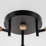 Люстры Citilux CL133131 TIKA