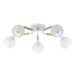 Люстры Citilux CL133150 TIKA