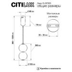 Подвесные светильники Citilux CL207023 Балу