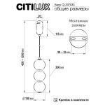 Подвесные светильники Citilux CL207033 Балу
