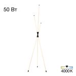 Торшеры Citilux CL217961 LUCIA
