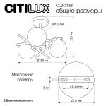 Люстры Citilux CL242133 RONNY