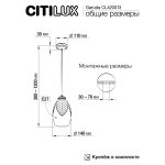 Подвесные светильники Citilux CL420013 Garuda