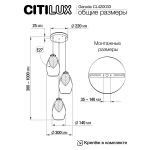 Подвесные светильники Citilux CL420033 Garuda