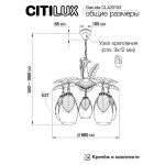Люстры Citilux CL420153 Garuda