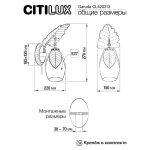 Настенные светильники Citilux CL420313 Garuda