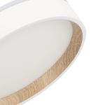 Потолочные светильники Citilux CL750180 ETALON