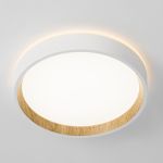 Потолочные светильники Citilux CL750180 ETALON