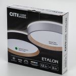 Потолочные светильники Citilux CL750181 ETALON