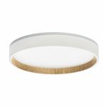 Потолочные светильники Citilux CL750240 ETALON