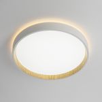 Потолочные светильники Citilux CL750240 ETALON