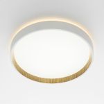 Потолочные светильники Citilux CL750240 ETALON