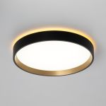 Потолочные светильники Citilux CL750241 ETALON