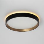 Потолочные светильники Citilux CL750241 ETALON