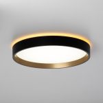 Потолочные светильники Citilux CL750241 ETALON