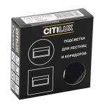 Настенные светильники Citilux CLD007R5 Скалли
