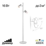 Торшеры Citilux CL809010N Twin