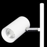 Торшеры Citilux CL809010N Twin