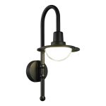 Уличные светильники ST Luce SL9512.401.01 PROCHE