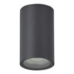 SL9010.712.01 Светильник уличный потолочный ST-Luce серый/белый GU10 1*50W