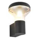 SL9541.701.01 Светильник настенный ST-Luce темно-серый/прозрачный LED 1*6W 3000K