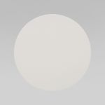 Настенный светильник 5911 Luna